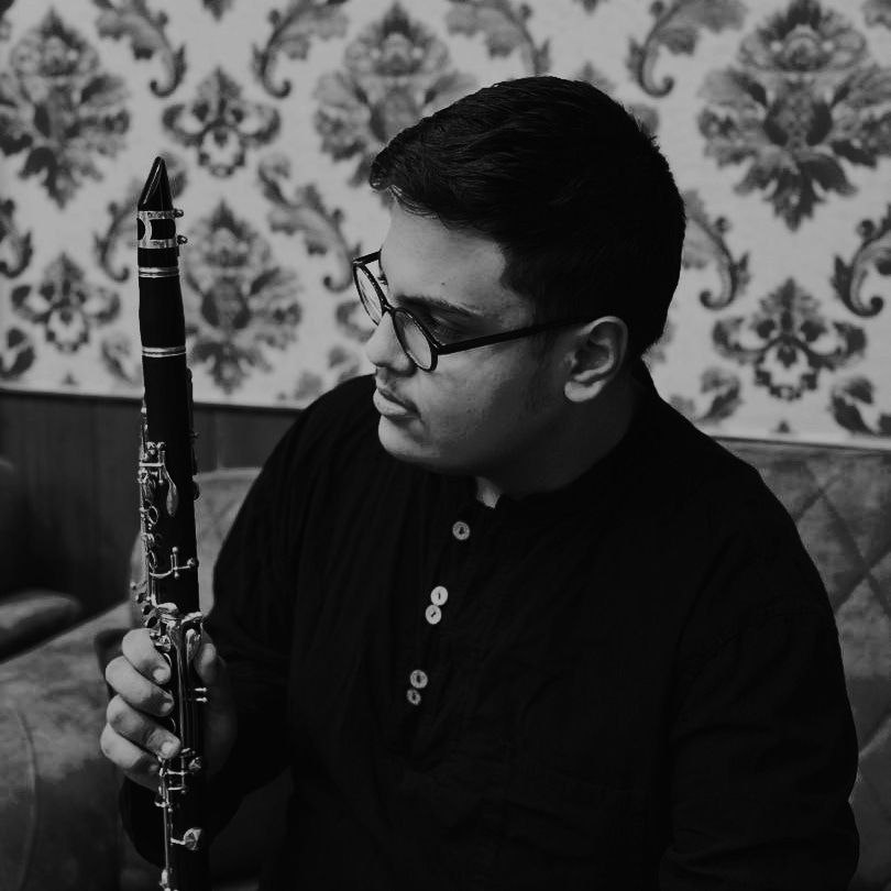 امیررضا ولی‌خانی - هنرمند موسیقی